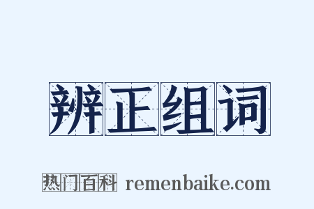 辨正组词是什么意思的图片